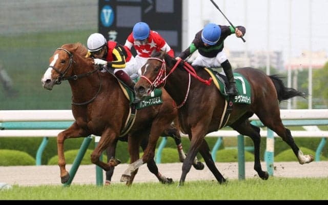 パフォーマプロミスが競走馬登録抹消