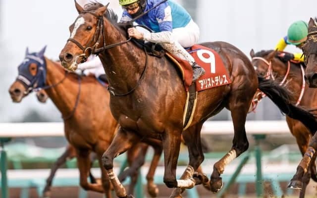 【阪神大賞典 予想】アリストテレスの重賞連勝に期待