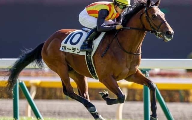 【スプリングS予想】未勝利戦の内容が秀逸なボーデンに期待