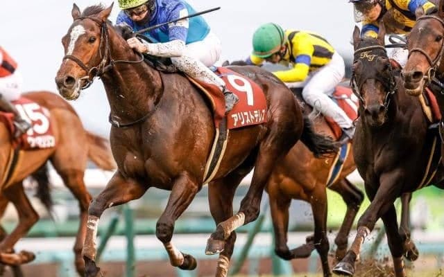 【本日の注目ポイント】中山でスプリングS、阪神で阪神大賞典