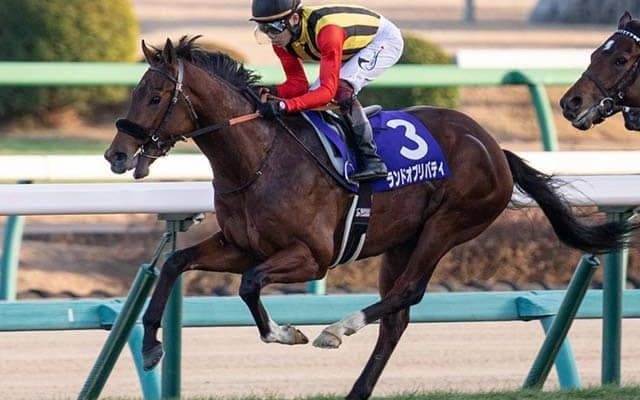 【スプリングS・馬体重】ランドオブリバティは464kg(-4)、ボーデンは480kg(-2)