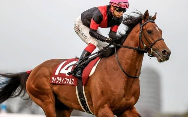 【勝負の分かれ目 スプリングS】池添騎手の好リードでヴィクティファルスが皐月賞の有力候補に