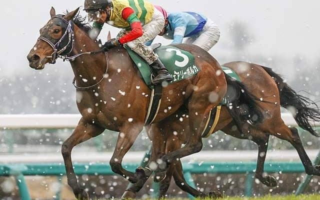 【マリーンC】フェアリーポルカ、マドラスチェックなどJRA出走予定馬が発表