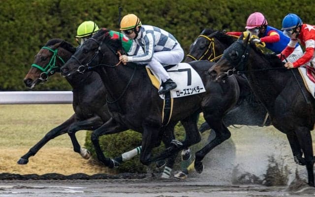 【阪神3R】断然人気ローズエンペラーが初勝利