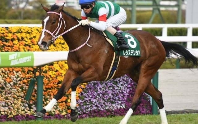 超高速の6ハロンGI高松宮記念、海外ではドバイWCデー開催/今週の競馬界の見どころ