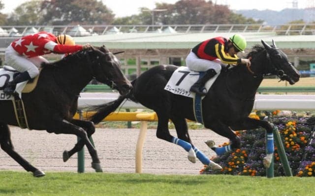 【毎日杯登録馬】良血ルペルカーリアなど12頭が登録