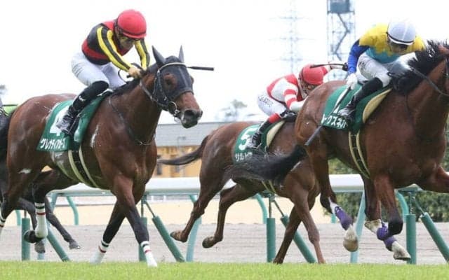 【ファルコンS】ルークズネストがV！グレナディアガーズは2着