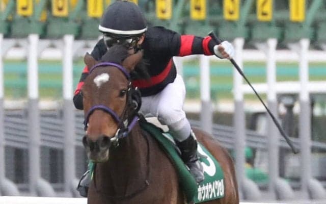 【フラワーC】丸田「上手な競馬が出来る」ホウオウイクセルが重賞初制覇