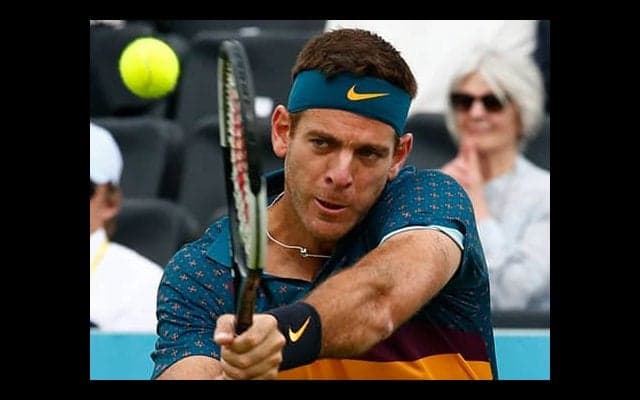 デルポ 4度目の右ひざ手術へ