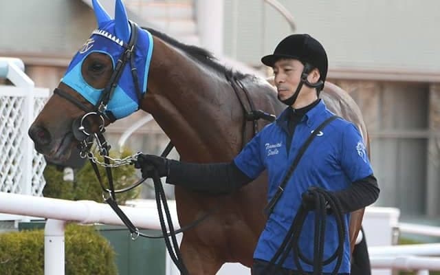 【大阪杯】アドマイヤビルゴは岩田望来騎手と新コンビ、武豊騎手負傷のため