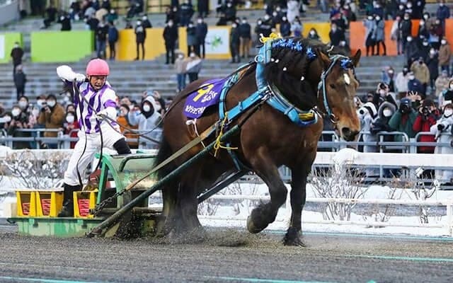 廃止の危機から、復活を感じた今シーズンのばんえい競馬/斎藤修コラム