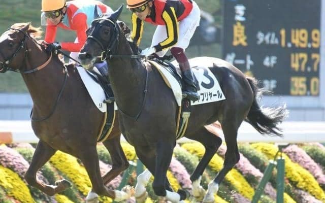 【毎日杯展望】活躍馬しばしば輩出の3歳重賞、注目はあの馬