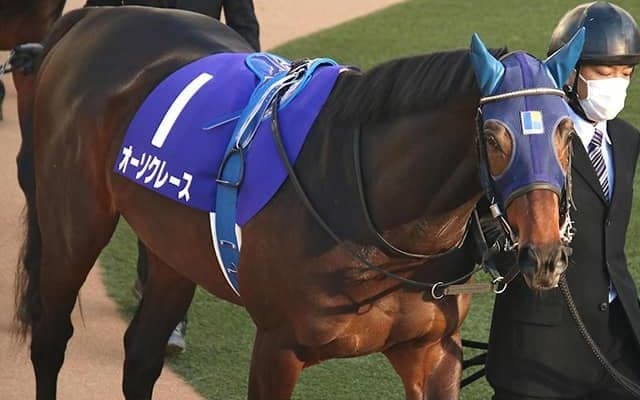 【次走】オーソクレースは引き続きC.ルメール騎手とのコンビで皐月賞へ