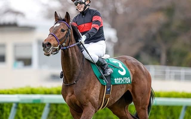 【次走】フラワーC覇者ホウオウイクセルは桜花賞へ、引き続き丸田恭介騎手とコンビ