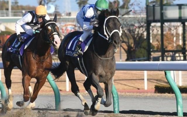 【ドバイワールドC】日本のチュウワウィザードは3番ゲートから