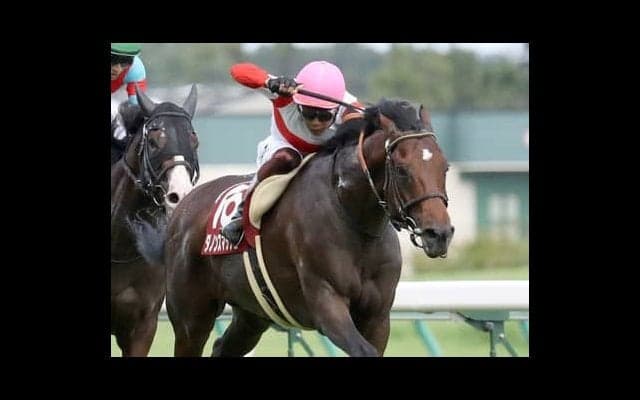 高松宮記念の「２強」ダノンスマッシュとレシステンシアを徹底比較！