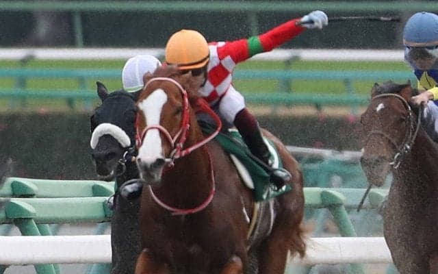 【ドバイゴールデンシャヒーン】出馬表確定