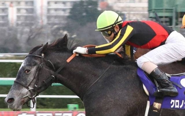 【ドバイシーマクラシック】出馬表確定