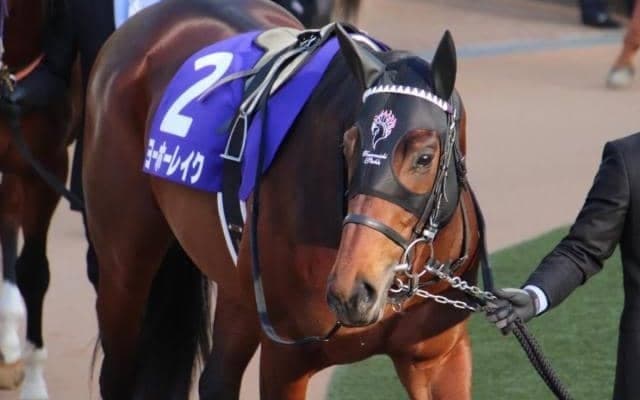 【次走】武豊騎手骨折のためヨーホーレイクは岩田望来騎手との新コンビで皐月賞へ