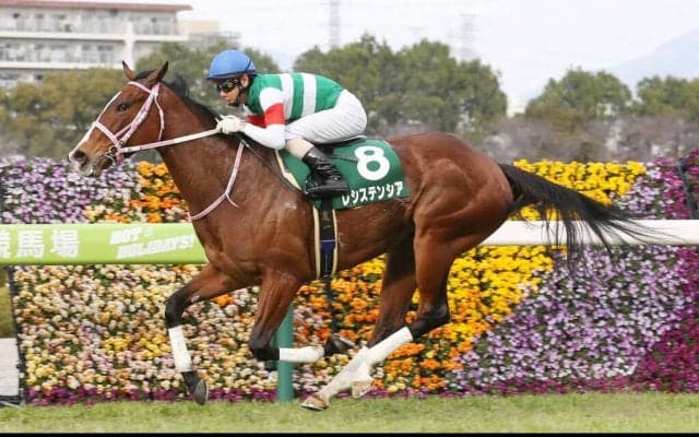 【高松宮記念】レシステンシアは8枠16番
