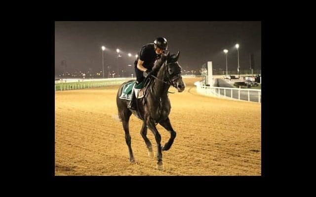 ２年ぶりのドバイWC。クロノジェネシスら日本馬に激走の気配！