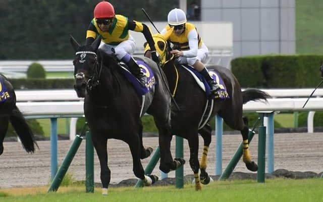 【日経賞予想】中山伝統の一戦を制するのは格上の意地か？ 実績馬の勢いか？