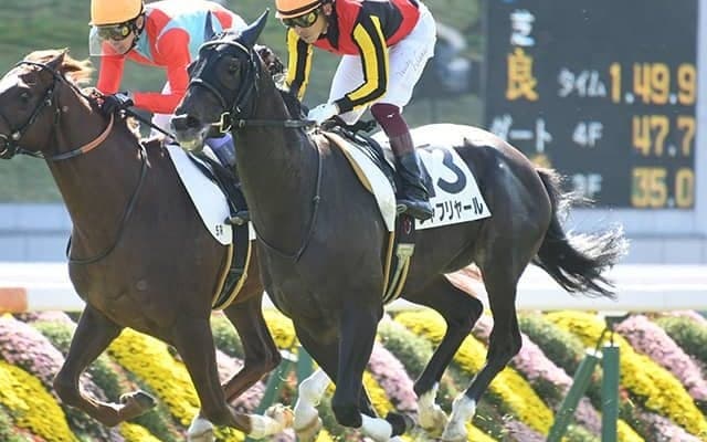 【毎日杯予想】全兄にクラシックホースをもつ良血が素質開花となるか？