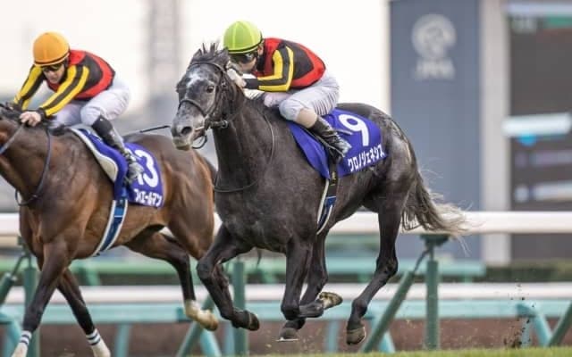 【本日の注目ポイント】日経賞と毎日杯、深夜のドバイWCデーにも注目