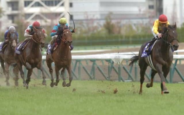 【高松宮記念 予想】馬場が荒れれば波乱傾向、そしてサンデー系には向かない条件の一戦/JRAレース展望