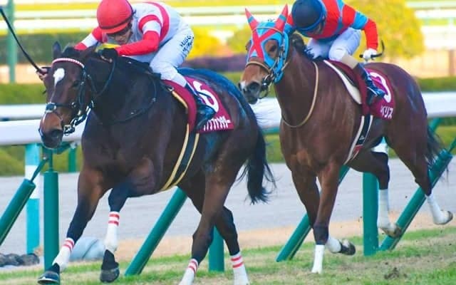 【高松宮記念予想】牝馬5頭が消去条件に！ フルゲートのポジション争いに負けないのは？ /JRAレース展望