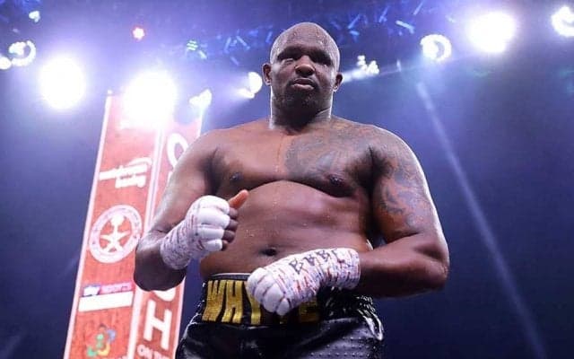 恐ろしすぎるTKO決着　ヘビー級暫定王者の“追撃フック”に海外熱狂「凄まじさMAX」