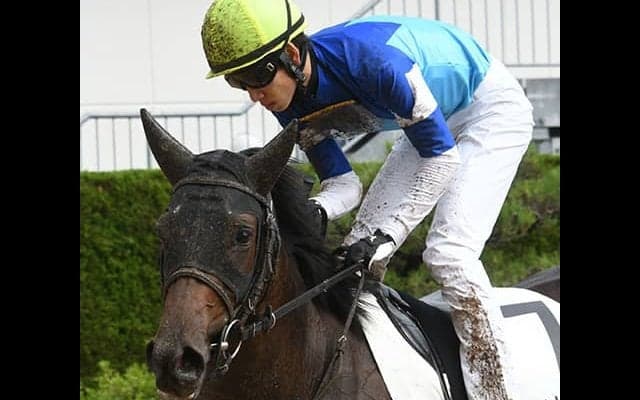 【桜花賞】アールドヴィーヴルの鞍上はM.デムーロ騎手に、松山弘平騎手の騎乗停止で