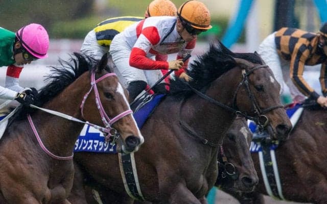 【高松宮記念】川田「馬の走りたいように」ダノンスマッシュがG1・2勝目