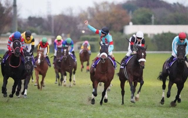H.H.シェイク・モハメド競馬優秀賞の受賞