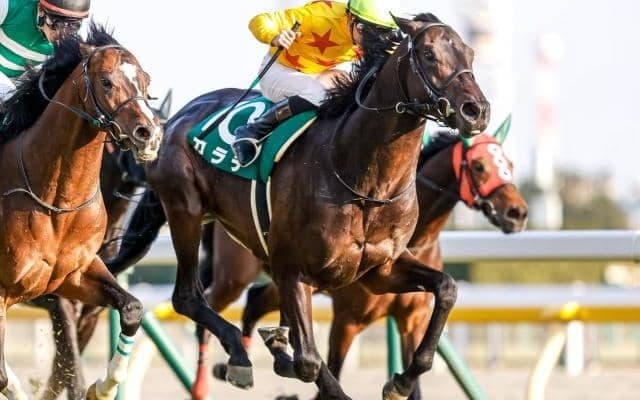 【ダービー卿CT展望】好走条件に合うあの馬に期待したい