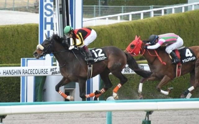 【コーラルSハンデ確定】グレートウォリアーは55.0kg、デザートストームは56.0kg