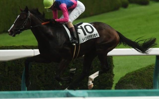 【先週のJRA抹消馬】ダート1200m戦5勝のメイショウテンセイ、ヌーヴォレコルトの全弟オーケストラなど