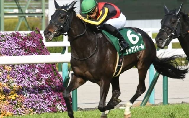 【毎日杯】売上は25億9561万4400円で昨年から増加