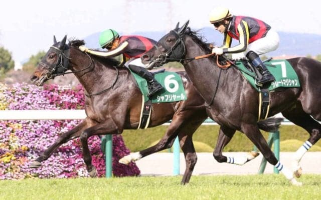 【毎日杯】良血シャフリヤールが重賞初V！全兄はアルアイン
