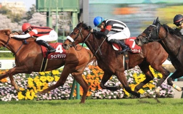 【日経賞】ウインマリリンが早め先頭から押し切る