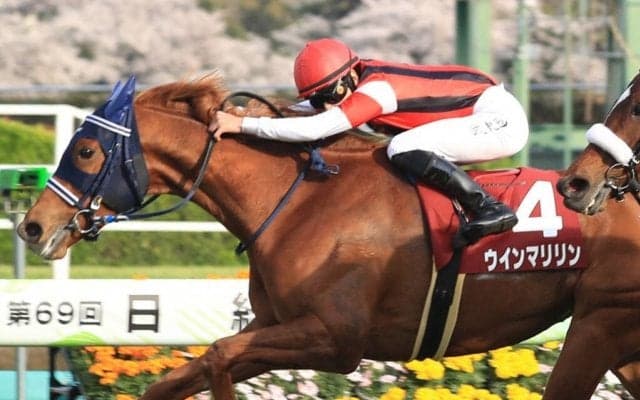 【日経賞】横山武「結果を残したいという一心」ウインマリリンが重賞2勝目