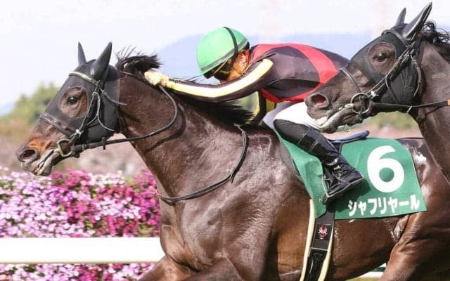 【毎日杯】川田「勝ち切ることが出来て何よりです」良血シャフリヤールがV