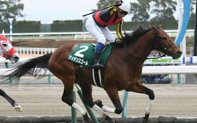 【次走】ケイデンスコールはマイラーズCを予定