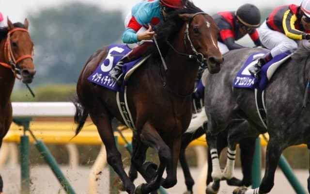 【次走】インディチャンプは香港辞退