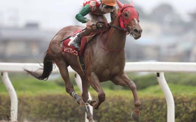 【ティアラC】レイナブローニュが抜け出して準重賞V！