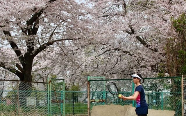 「第38回むさしの村チェリージュニアテニストーナメント」16歳以下男女シングルスが行われ、男子はベスト4が、女子は決勝進出者が決定！