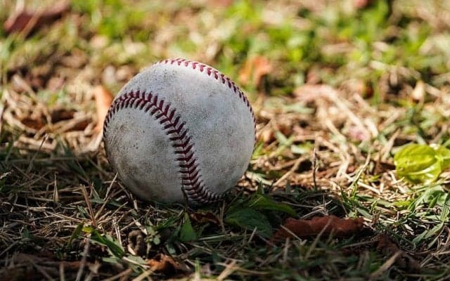 「驚異的」「信じられないビースト」ドヤ顔で決めた前方一回転キャッチが話題