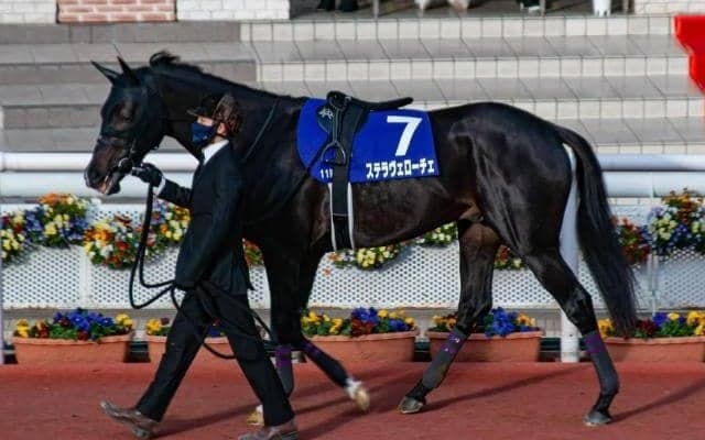【皐月賞】ステラヴェローチェは吉田隼人騎手との新コンビ