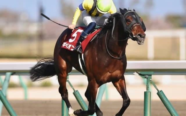 【大阪杯】ギベオンは回避に、中2週を考慮