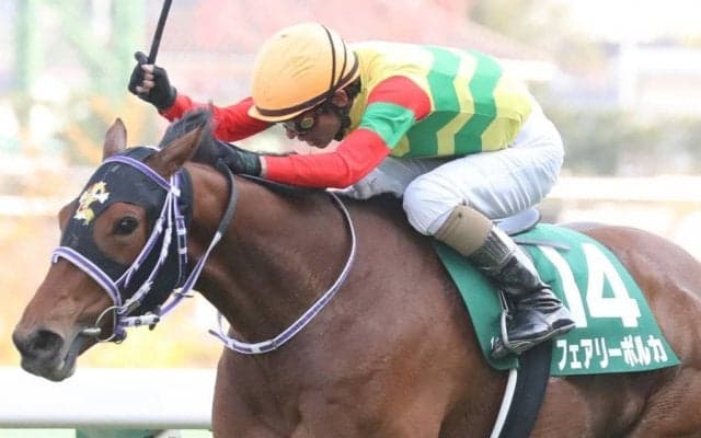 【マリーンC】JRA出走予定馬